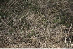 Photo Textures of Nature